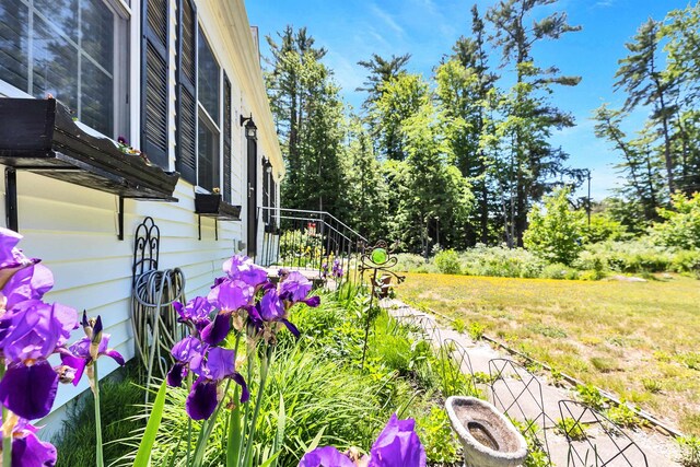 21 Burke Rd, Peterborough, NH 03458 - view of yard