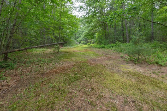 8 Jakes Ln, Merrimack, NH 03054 - view of yard featuring a view of trees