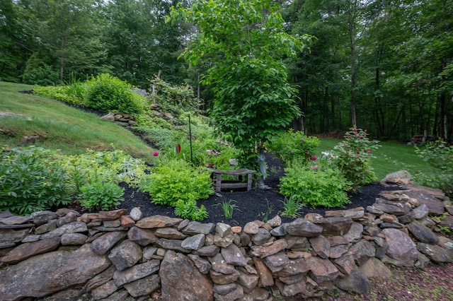 35 Fletcher Ln, Hollis, NH 03049 - view of yard with a forest view