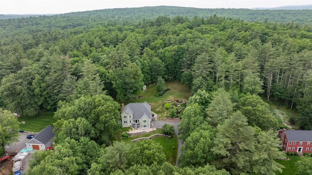35 Fletcher Ln, Hollis, NH 03049 - view of subject property with a heavily wooded area
