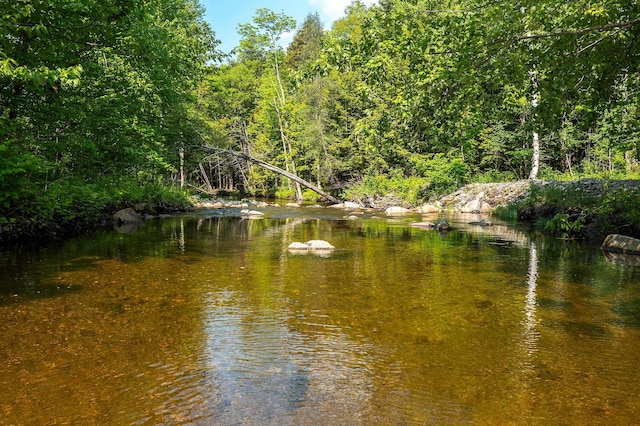 1166 Rte 100, Weston, VT 05161