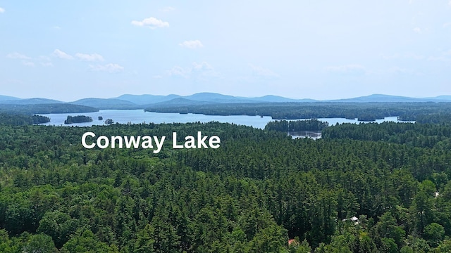 25 Singer Ln, Conway, NH 03813 - view of mountain background featuring a heavily wooded area