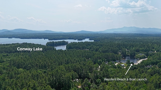 25 Singer Ln, Conway, NH 03813 - mountain view featuring a forest and a large body of water
