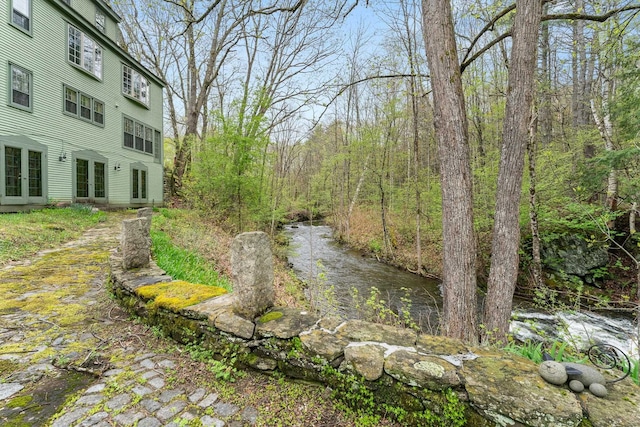 85 Dartmouth College Hwy Unit 204, Lyme, NH 03768 - view of yard with french doors