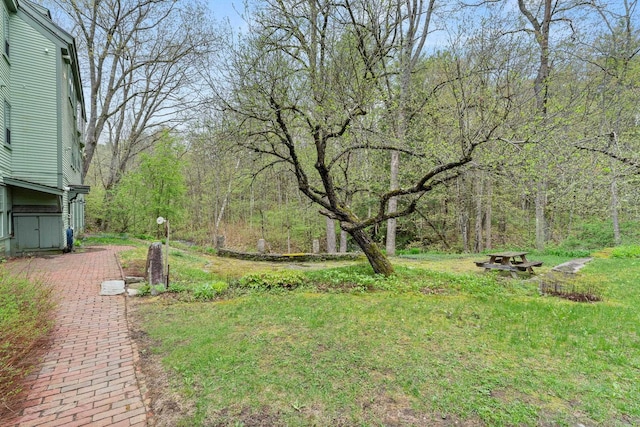 85 Dartmouth College Hwy Unit 204, Lyme, NH 03768 - view of yard