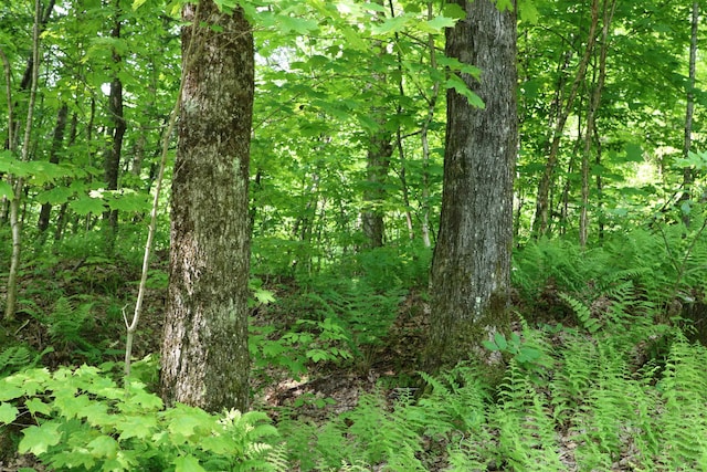 000 Vt Route 58e, Lowell, VT 05847