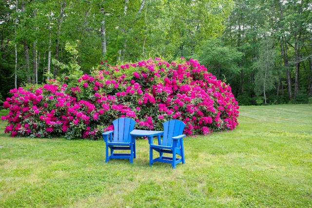 496 Coles Hill Rd, Wells, ME 04090 - view of green lawn with a forest view