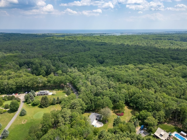 496 Coles Hill Rd, Wells, ME 04090 - bird's eye view of a heavily wooded area