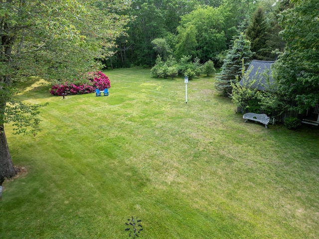 496 Coles Hill Rd, Wells, ME 04090 - view of green lawn