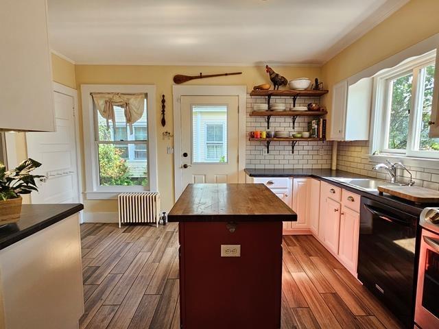 93 S Lincoln St, Keene, NH 03431 - kitchen with dishwasher, radiator heating unit, dark wood finished floors, decorative backsplash, and ornamental molding