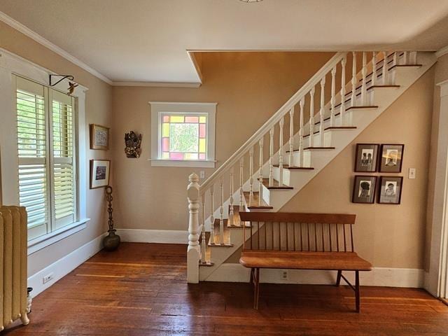 93 S Lincoln St, Keene, NH 03431 - stairway featuring healthy amount of natural light, wood-type flooring, ornamental molding, and radiator