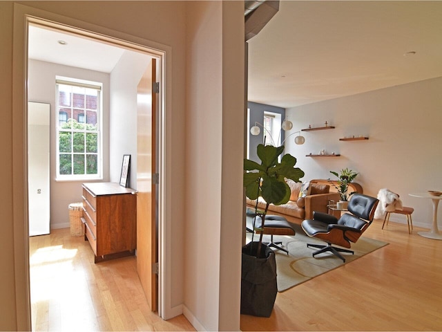 161 St Paul St Unit 202, Burlington, VT 05401 - hallway with light wood-type flooring and baseboards