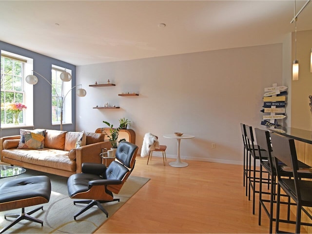 161 St Paul St Unit 202, Burlington, VT 05401 - living area featuring wood finished floors