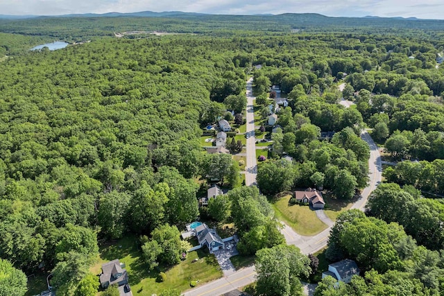 12 Julia Dr, Hooksett, NH 03106 - aerial overview of property's location with a forest