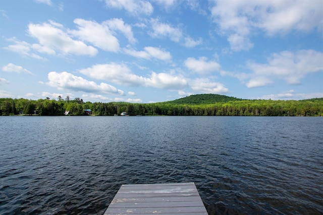 491 The Ln, Peacham, VT 05862 - dock area with a water view and a wooded view