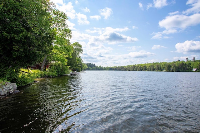 491 The Ln, Peacham, VT 05862 - water view featuring a forest
