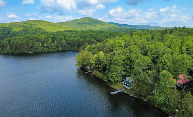 491 The Ln, Peacham, VT 05862 - bird's eye view of a forest and a water and mountain view