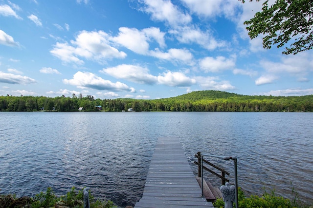 491 The Ln, Peacham, VT 05862 - dock area featuring a water view and a forest view
