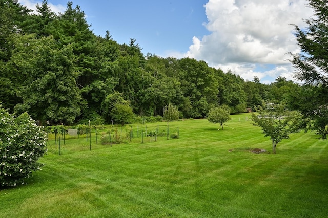 90 Giles Rd, East Kingston, NH 03827 - view of yard