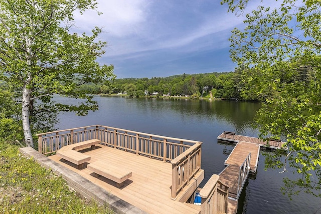 331 Rte 100 N, Plymouth, VT 05056 - dock with a water view and a wooded view