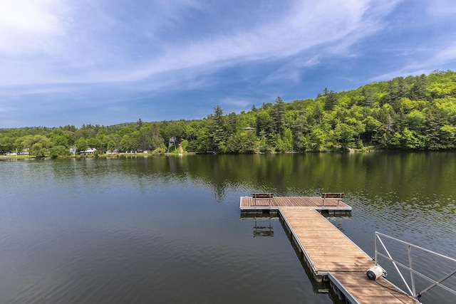 331 Rte 100 N, Plymouth, VT 05056 - dock with a water view and a wooded view