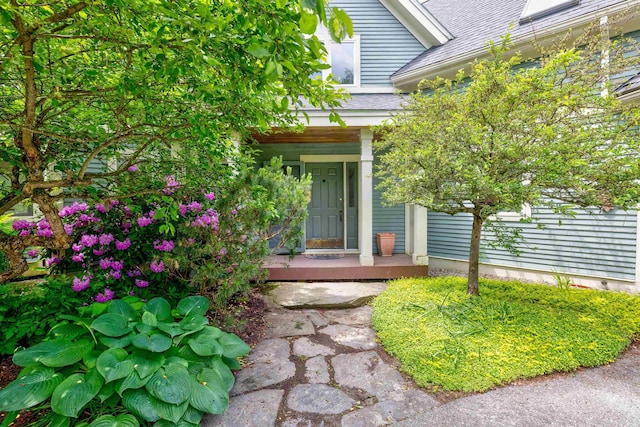 650 Perry Lea Rd, Waterbury, VT 05676 - property entrance featuring a shingled roof and a porch