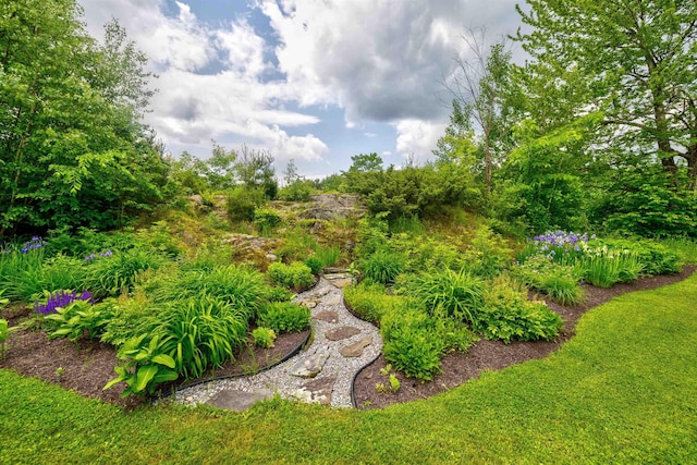 650 Perry Lea Rd, Waterbury, VT 05676 - view of yard
