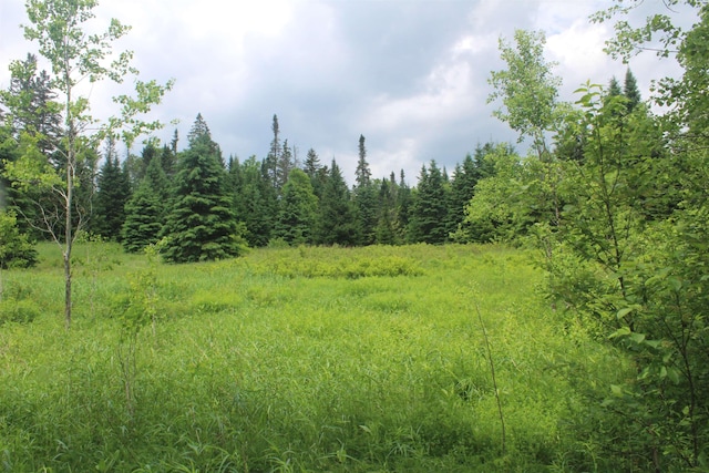 0 Cobb Rd, Walden, VT 05873
