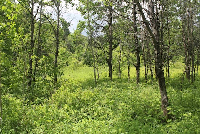 0 Cobb Rd, Walden, VT 05873