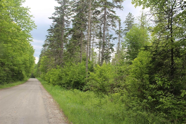 0 Cobb Rd, Walden, VT 05873