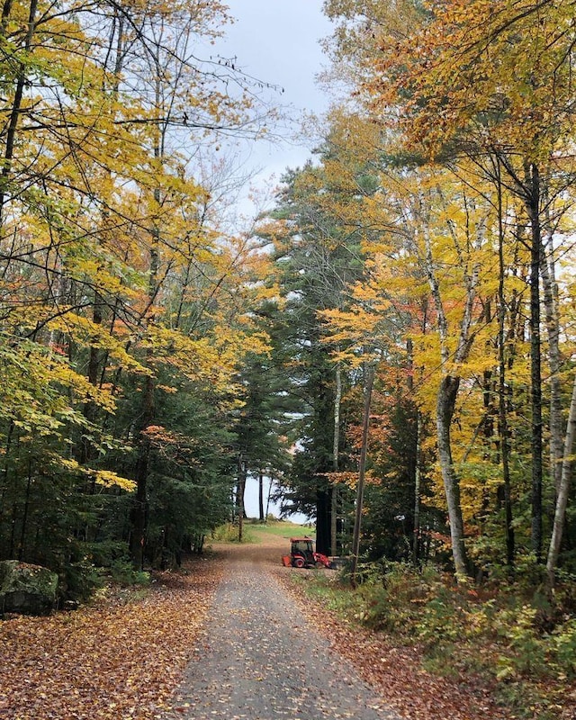 67 Cardinal Ln, Smithfield, ME 04978 - view of road with a wooded view