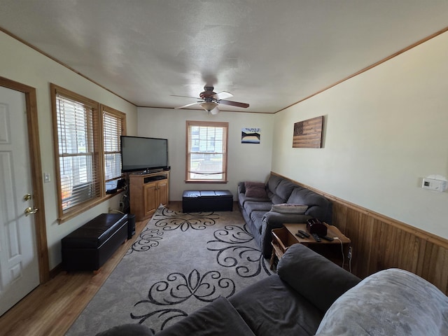 793 S Beech St, Manchester, NH 03104 - living room featuring light wood finished floors, ceiling fan, wainscoting, and wooden walls