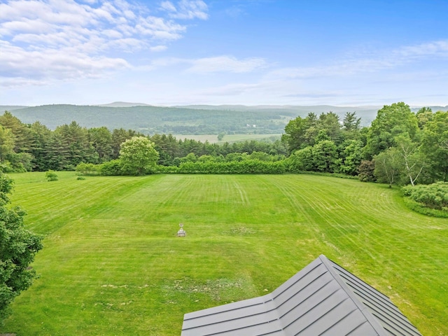 235 Dartmouth College Hwy, Haverhill, NH 03765 - view of yard