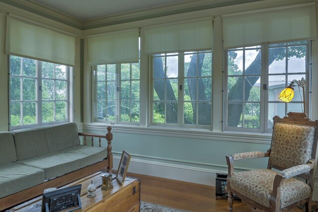 45 School St, Keene, NH 03431 - sunroom / solarium featuring wood finished floors and ornamental molding