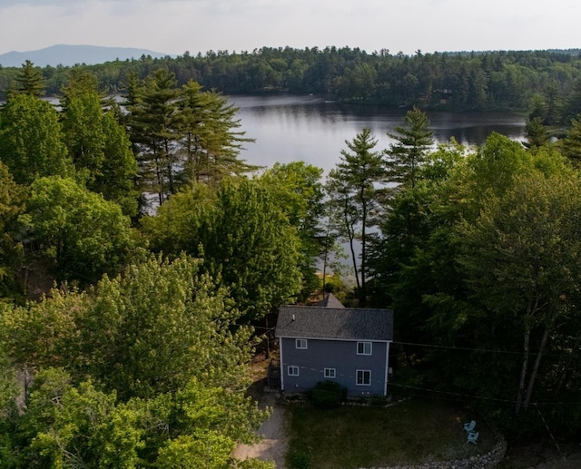 26 Island Dr, Madison, NH 03849 - view of subject property with a forest and a large body of water