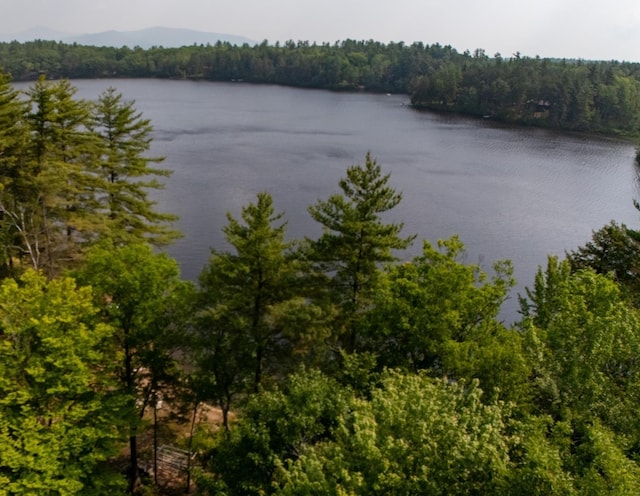 26 Island Dr, Madison, NH 03849 - water view with a heavily wooded area
