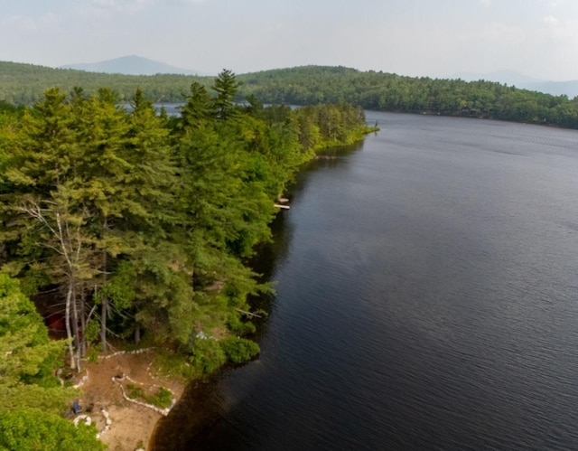 26 Island Dr, Madison, NH 03849 - water view with a heavily wooded area