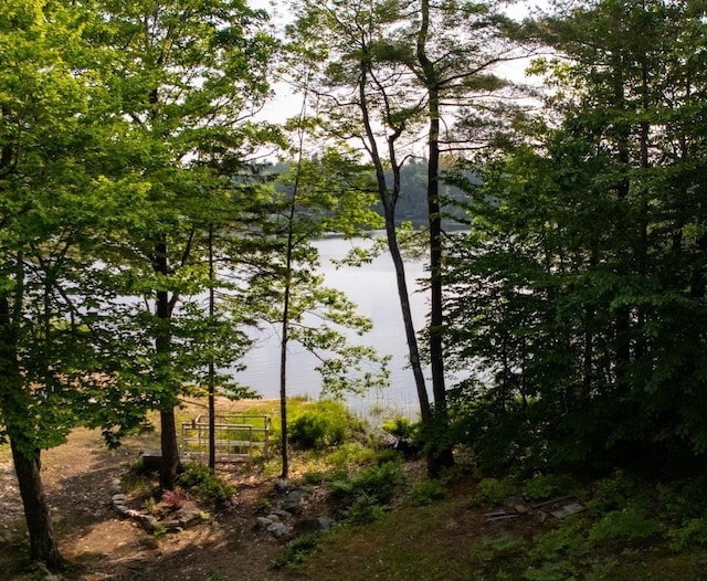 26 Island Dr, Madison, NH 03849 - water view