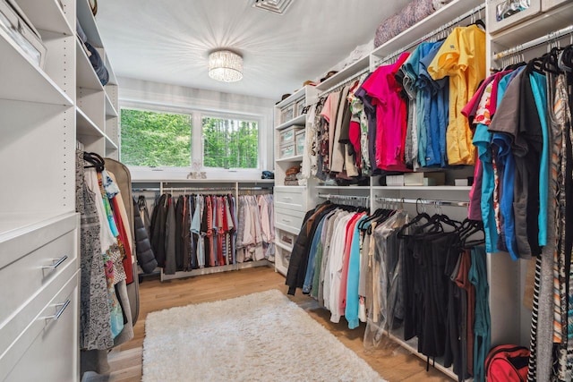 10 Lawrence Ln, Hollis, NH 03049 - view of walk in closet