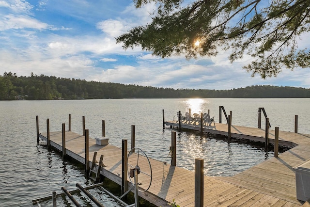 310 Bear Is, Meredith, NH 03253 - dock area with a water view and a view of trees