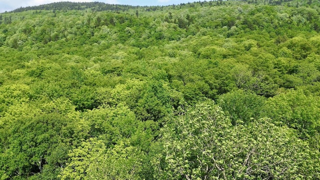 0 N Rd, Eden, VT 05653