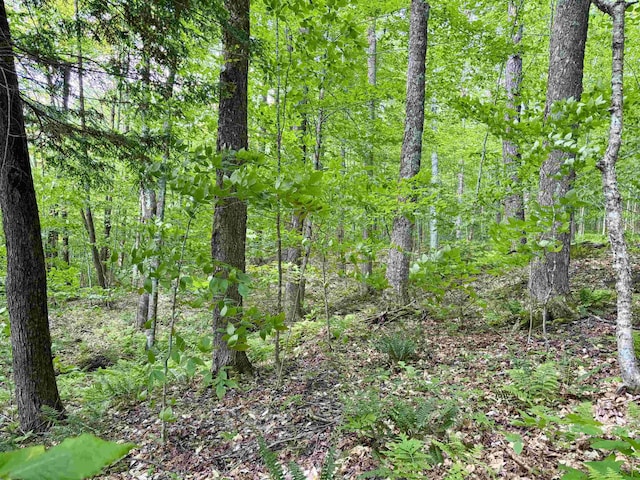 0 N Rd, Eden, VT 05653
