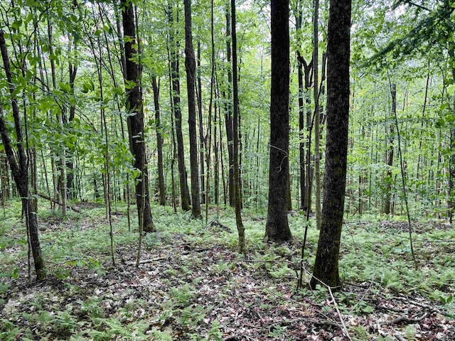 0 N Rd, Eden, VT 05653