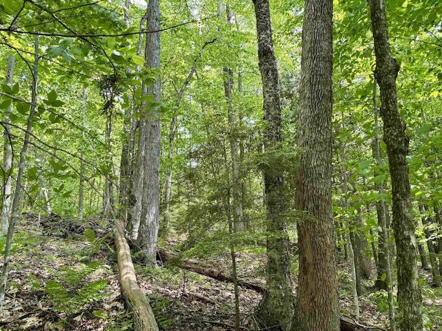 0 N Rd, Eden, VT 05653
