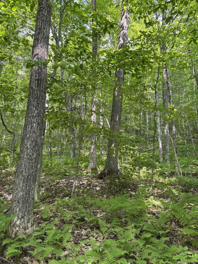 0 N Rd, Eden, VT 05653