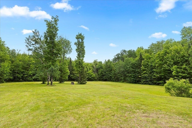 110 W Milan Rd, Milan, NH 03588 - view of green lawn with a view of trees