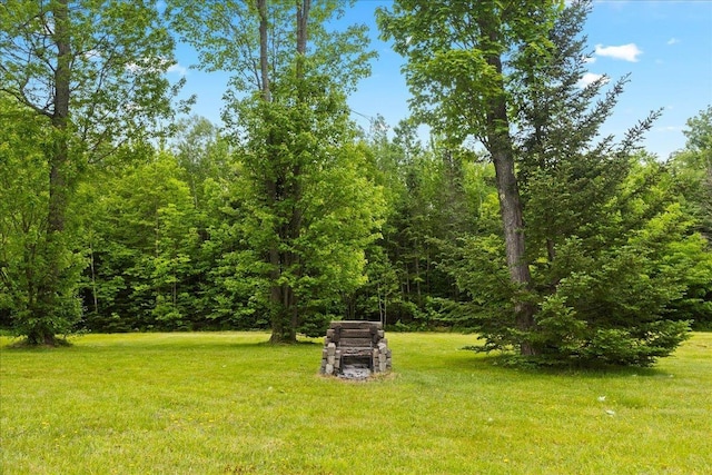 110 W Milan Rd, Milan, NH 03588 - view of green lawn