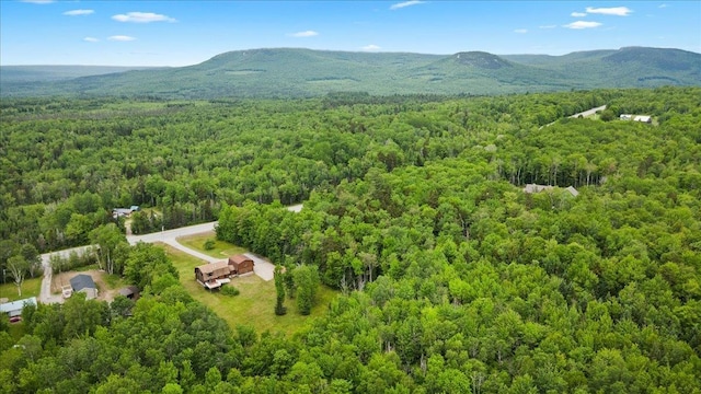 110 W Milan Rd, Milan, NH 03588 - bird's eye view of a forest and a mountain backdrop