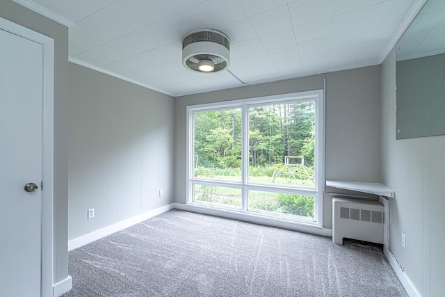 28 New Searles Rd, Nashua, NH 03062 - carpeted empty room with radiator heating unit and ornamental molding