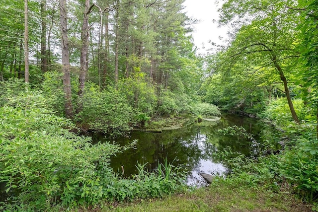 28 New Searles Rd, Nashua, NH 03062 - view of tree filled area